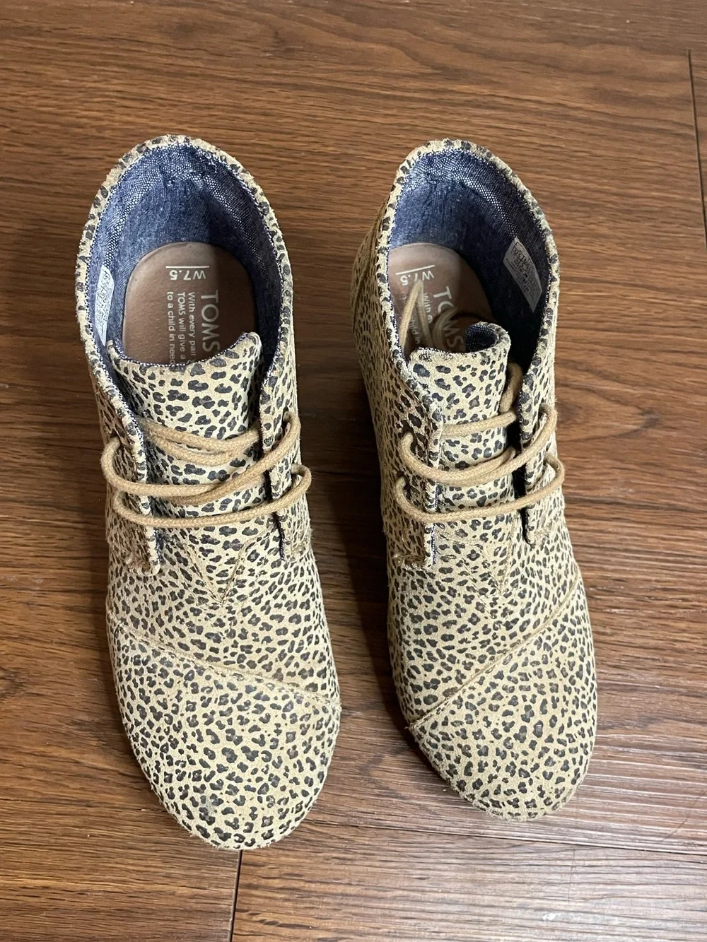 Toms 🐆 leopard